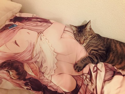 no title