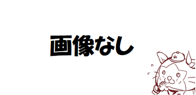 画像なし