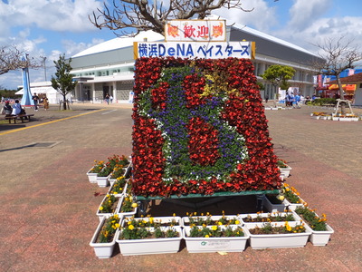 DSCF7131