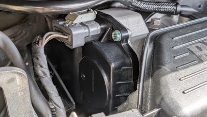 MP