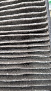 PXL_20260611_053653530