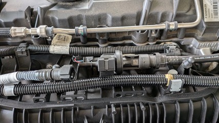 PXL_20250911_074636846