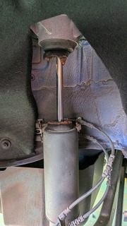 MP