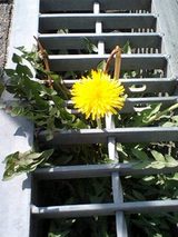 1cb58a45.jpg