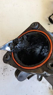 PXL_20251007_050704690