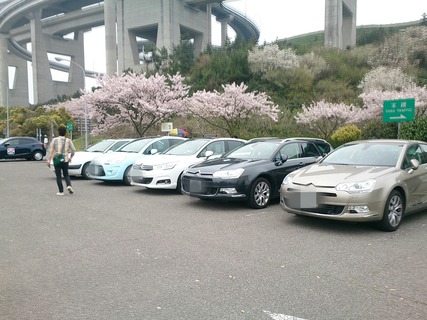 Fotor_146025556456139