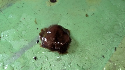 PXL_20250908_073404082