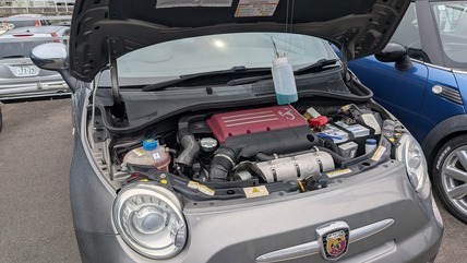 MP