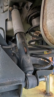 PXL_20251001_083152471