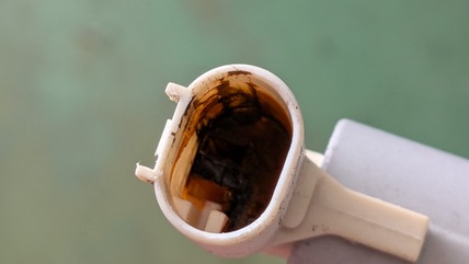 PXL_20250908_071724681