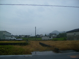 8181a946.JPG