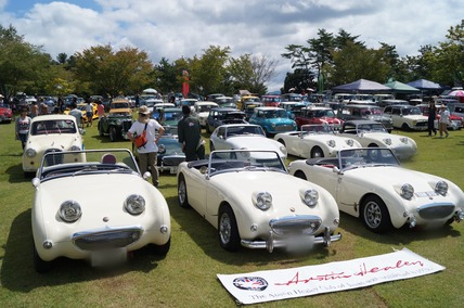 Point Blur_20180902_211328