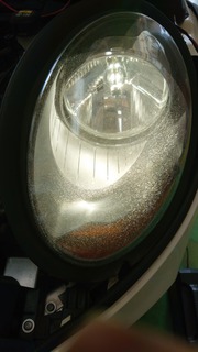 DSC_0001_BURST20201127141317603