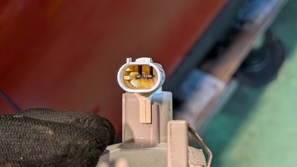 MP