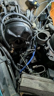 MP