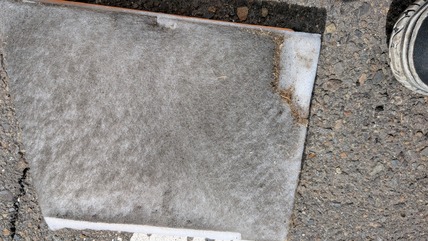 PXL_20260304_035606656