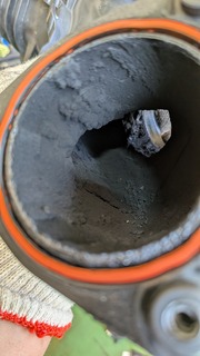 PXL_20251007_050532774