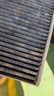 PXL_20260122_014422328