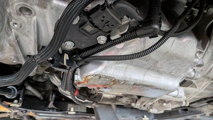 PXL_20250913_074922151