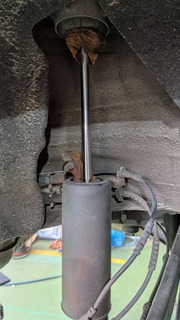 PXL_20250804_083242532