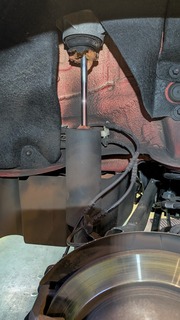 PXL_20260304_090111636