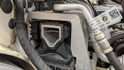 PXL_20250802_031142631