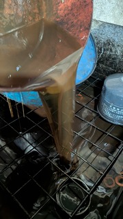 PXL_20251029_100640230