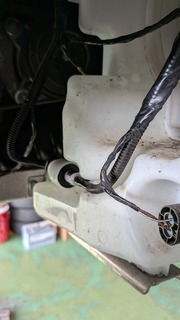 PXL_20260116_014206587