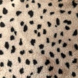furry02_571a5c7b-3d89-4888-9a46-c517a0cfcd50_1024x1024@2x