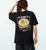 LT3203-175_01