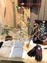IMG_0231