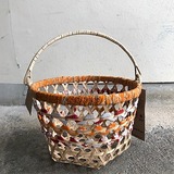 IMG_4244 (2)