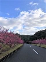 IMG_0467