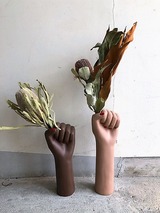 IMG_8526