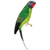citron-g_92-0030