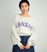 LT7161-102_01