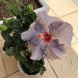 IMG_9693