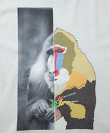 03_006-750 (1)