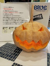 IMG_9165 (2)