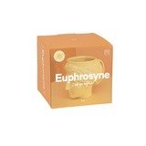 message-mugs_euphrosyne_package_01_02-500x500 (1)