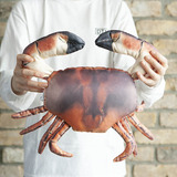 y_0515_img2