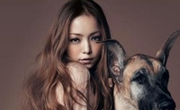 安室奈美恵 NEW SINGLE『Sit! Stay! Wait! Down!/Love Story