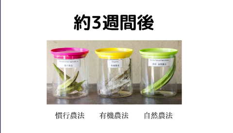 スクリーンショット 2023-10-17 16.33.30