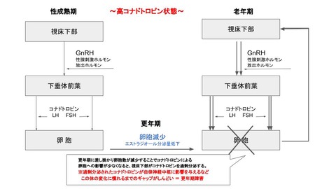 無題のプレゼンテーション
