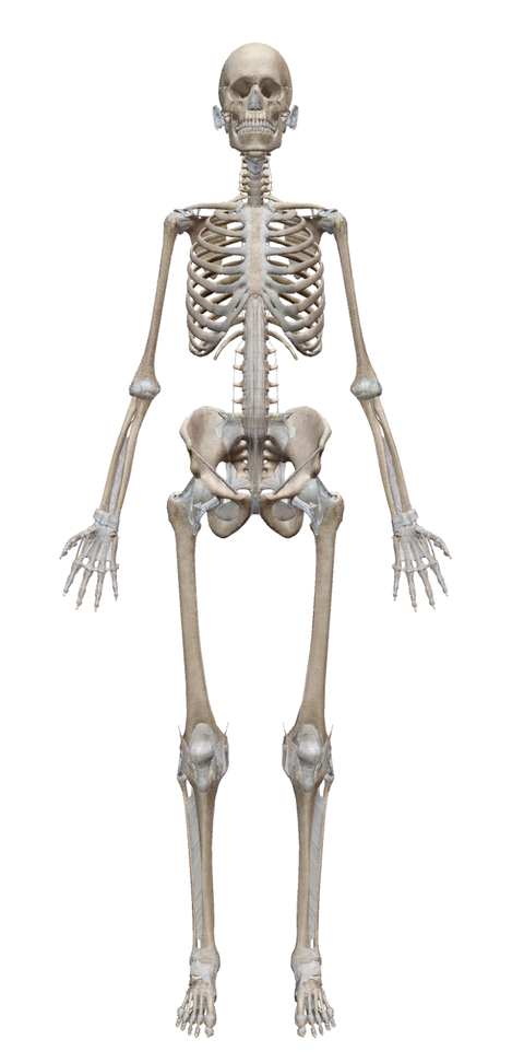 スクリーンショット 2024-05-07 10.18.06