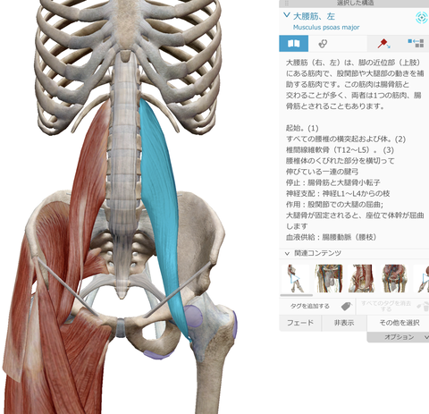 スクリーンショット 2023-01-26 10.21.07