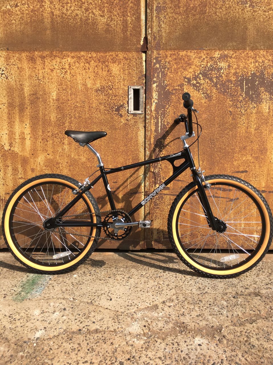 SCHWINN / SX-1000 : BMX BIRDS RIDE SCHWINN / SX-1000 : BMX BIRDS RIDE