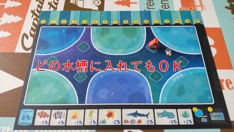 拡張 4