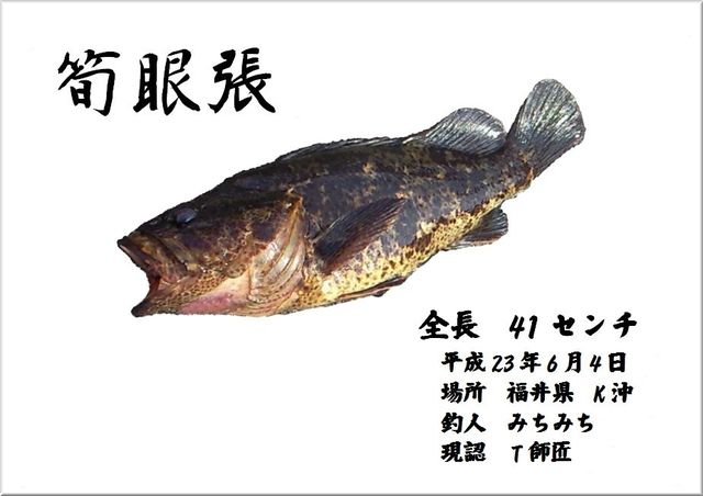 デジタル魚拓ライブラリー 随時更新 休日は若狭湾でボート釣り 2ndステージse