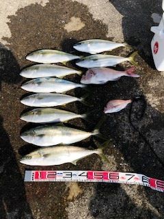 2019 10 30 堤防